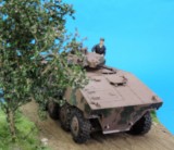 One Tank, One Career: A Tribute to an Exceptional Journey